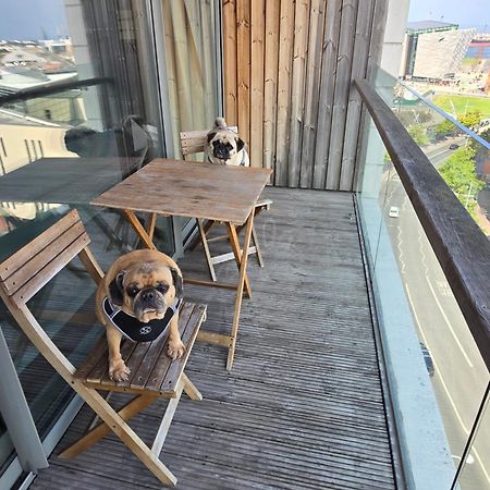 Benji & Milos Apartments Белфаст Екстериор снимка